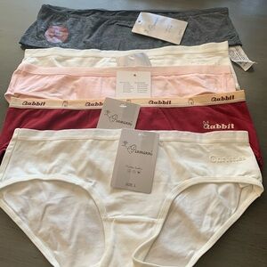 NWT. Size Large Womens Panties. Pack of 5.
